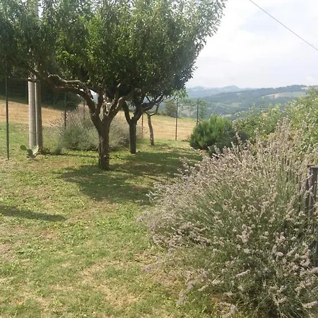 Turistico Il Colle Del Nibbio Apartment